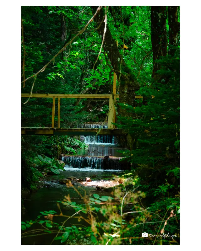 ΔWoodland Bridge